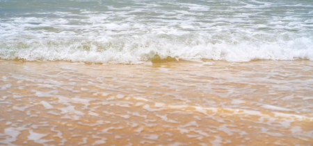 A sandy beach on the coastline of the ocean with clear water with small waves.の写真素材