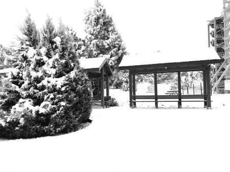 so my favorite in winterのeditorial素材