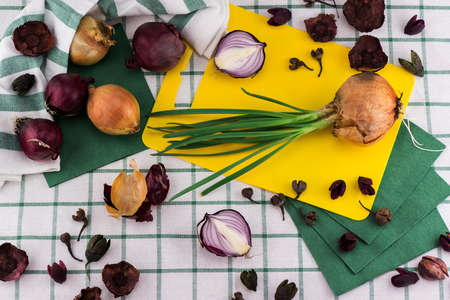 Composition of onions from differentの写真素材