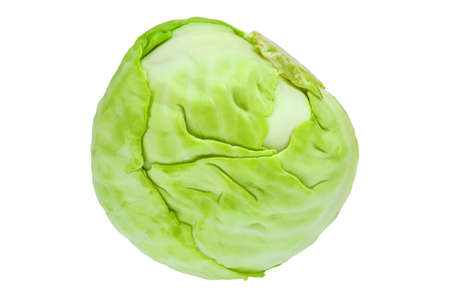 White cabbage close-up isolated on white background.の写真素材
