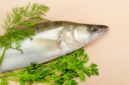Fresh fish pike perch with herbs closeup on wooden backgroundの写真素材