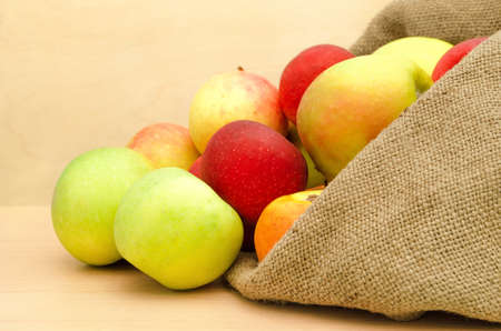 Fresh apples in the sack close-up on  a light wooden backgroundの写真素材