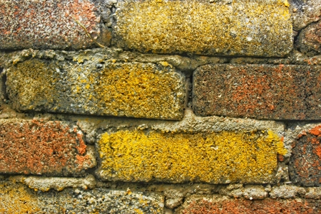 Brick wall texture backgroundの写真素材