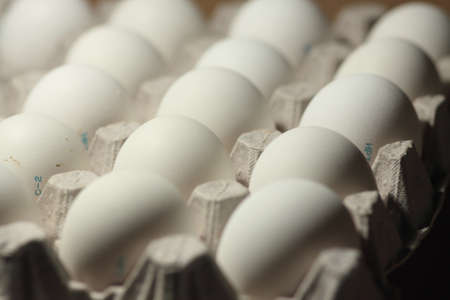 eggs in a cardboard boxの写真素材