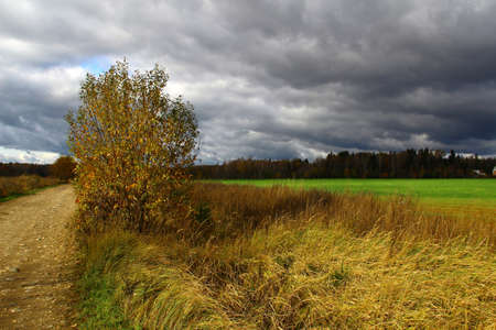 The typical Russian landscapeの写真素材