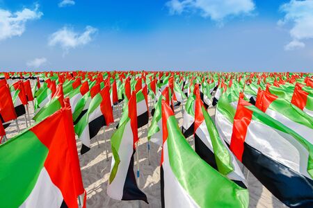 United Arab Emirates flag waving on the wind, UAE Flagの写真素材