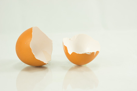 egg shell broken isolatedの写真素材
