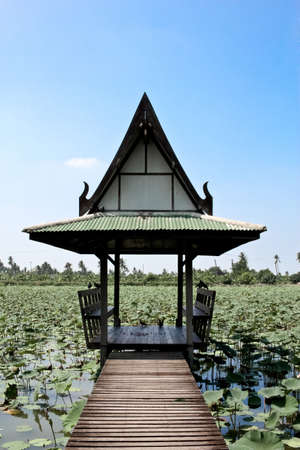 Wooden Pavilion Among The Lotus Farmの写真素材