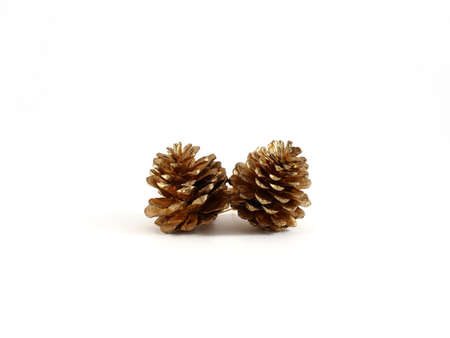 Golden Pine Cones On White Background