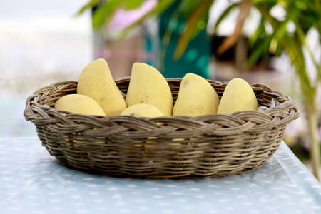 Yellow Mangoes In Weaving Basketの写真素材