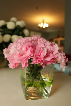 Pretty canation in glass jar in living roomの写真素材
