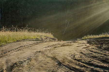sunbeams over country road