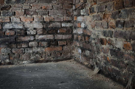 old bricks wall in cellarの写真素材