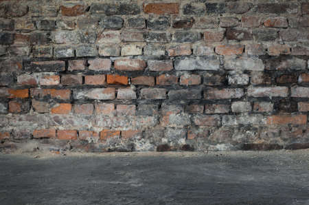 old bricks wall in cellarの写真素材