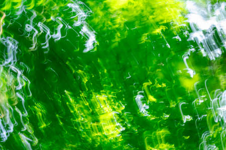 motion blurred background taken in forestの写真素材