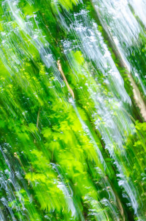 motion blurred background taken in forestの写真素材