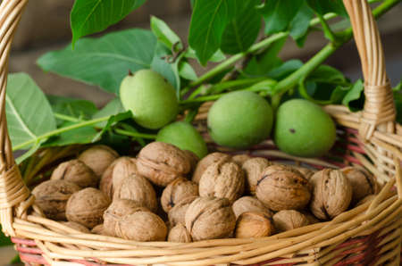 close up to walnuts in basketの写真素材