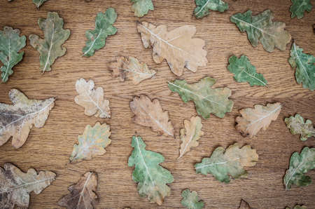 fall background on wooden boardの写真素材