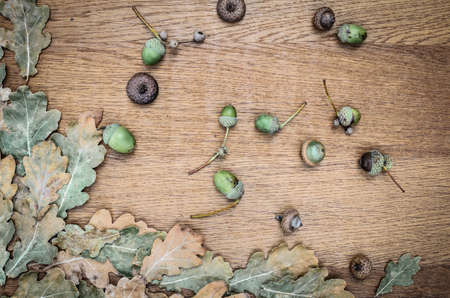 fall background on wooden boardの写真素材