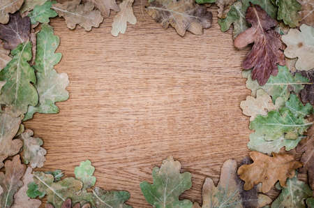 fall background on wooden boardの写真素材