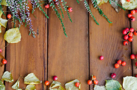 fall decoration on wooden backgroundの写真素材