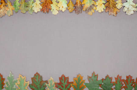 autumn forest frame on grey backgroundの写真素材