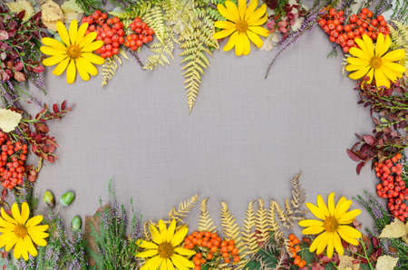 autumn forest frame on grey backgroundの写真素材