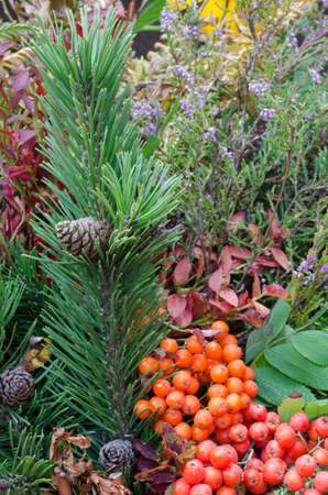 autumn bouquet made of forest plantsの写真素材
