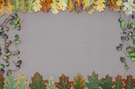 autumn forest frame on grey backgroundの写真素材