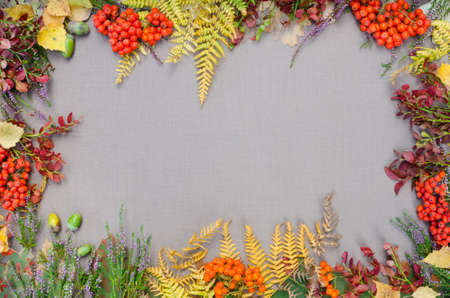 autumn forest frame on grey backgroundの写真素材
