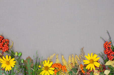 autumn forest frame on grey backgroundの写真素材