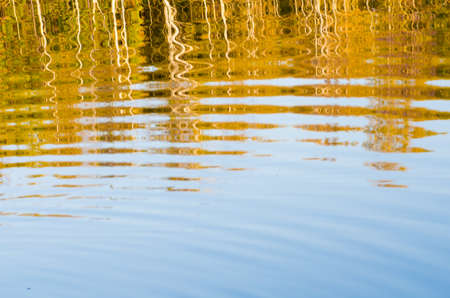 fall forest reflection in lakeの写真素材