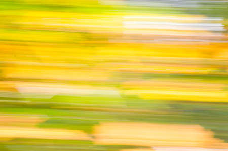 nature blurred backgroundの写真素材