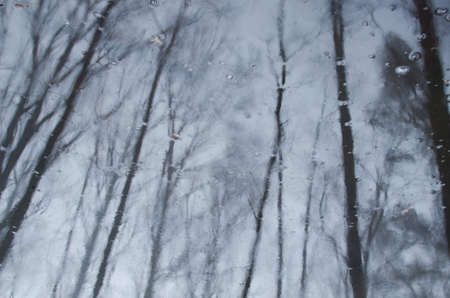 autumn trees reflection in waterの写真素材