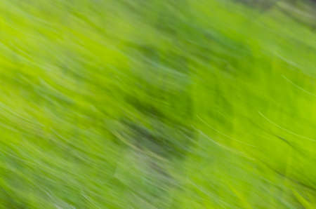 nature defocused motion blur green backgroundの写真素材