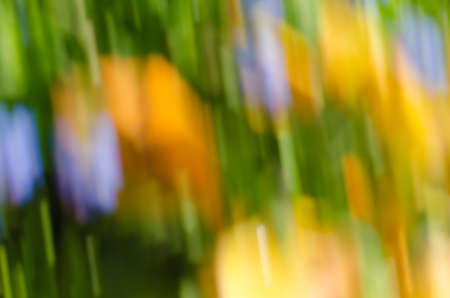 abstract multicolored nature motion blur backgroundの写真素材