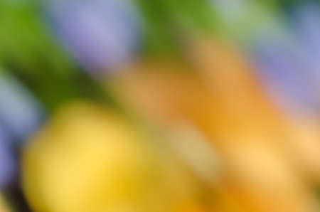 abstract multicolored nature motion blur backgroundの写真素材