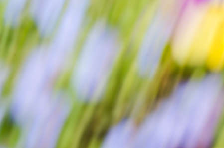 abstract multicolored nature motion blur backgroundの写真素材