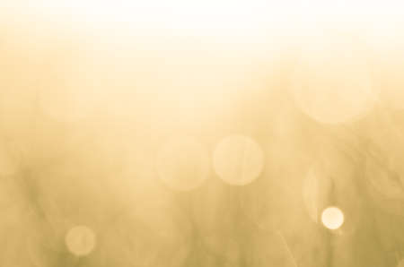 abstract orange nature bokeh backgroundの写真素材