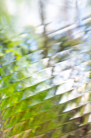 abstract pattern  nature background textureの写真素材