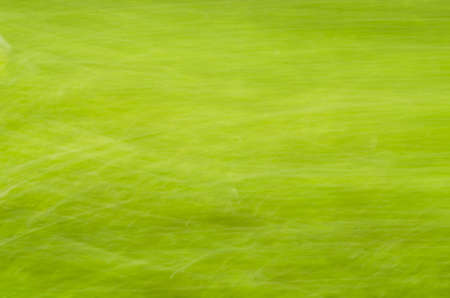 abstract spring nature blurred backgroundの写真素材