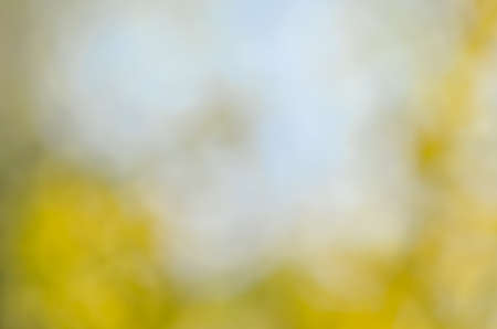 abstract spring nature blurred backgroundの写真素材