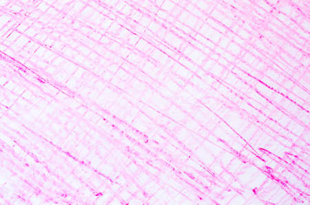 pink crayon drawings on white paper background textureの写真素材