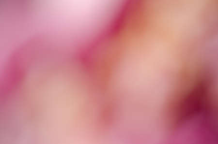 pink nature blurred background from peony flowersの写真素材