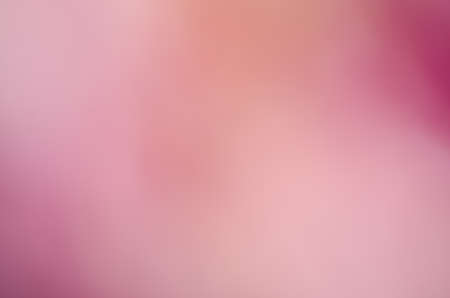 pink nature blurred background from peony flowersの写真素材
