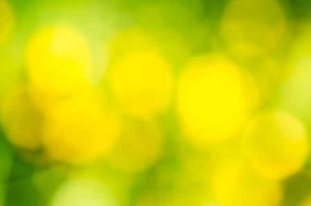nature green and uellow meadow blurred backgroundの写真素材