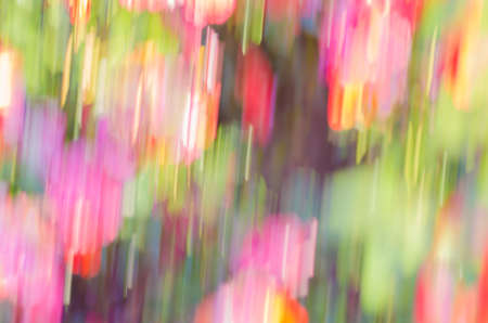 Abstract defocused nature multicolored の写真素材