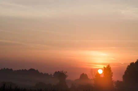 Foggy morning in countryside. Poland, Europe.の写真素材