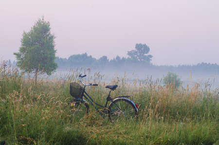 Foggy morning in countryside. Poland, Europe.の写真素材