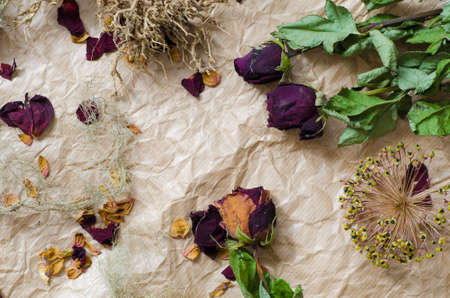 composition of dried rose flowersの写真素材